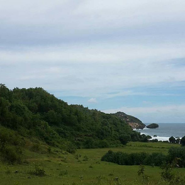 Pantai atau bukit? Masih berdebat mau habisin weekend dimana? Puncak Kosakora bisa menawarkan keduanya lho! Pack your camping gear and off we gooo! Klik link di bio kalau mau tau apa aja yang ada disana ya.
All credit goes to @dianadintofu : Still the same scenery.
#puncakkosakora #bonvoyagejogja #jogja #yogyakarta #gunungkidul #pantaigunungkidul #gunungkidulbeach #indonesia #explorejogja #wonderfuljogja #visitjogja #wheninjogja #exploreindonesia #indonesiajuara #pesonaindonesia #discoverindonesia #livefolkindonesia #idexplorer #mytripmyadventure #indotravellers #folkgreen Pantai atau bukit? Masih berdebat mau habisin weekend dimana? Puncak Kosakora bisa menawarkan keduanya lho! Pack your camping gear and off we gooo! Klik link di bio kalau mau tau apa aja yang ada disana ya.
All credit goes to @dianadintofu : Still the same scenery.
#puncakkosakora #bonvoyagejogja #jogja #yogyakarta #gunungkidul #pantaigunungkidul #gunungkidulbeach #indonesia #explorejogja #wonderfuljogja #visitjogja #wheninjogja #exploreindonesia #indonesiajuara #pesonaindonesia #discoverindonesia #livefolkindonesia #idexplorer #mytripmyadventure #indotravellers #folkgreen