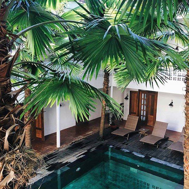 When was the last time your morning looks perfect like this?
.
Kapan terakhir kali pagi anda terlihat sesempurna ini?
.
Another long weekend is right around the corner, get ready to witness Vaisak in Jogja! And don't miss out on this beautiful Adhisthana Hotel
.
Sebentar lagi udah ada long weekend (lagi) nih, siap-siap nonton Hari Raya Waisak di Jogja ya! Jangan sampai kehabisan tempat menginap di Adhisthana Hotel ini lho. Cek ulasan lengkapnya dengan klik link di bio.
.
All credit goes to @alexa.bui : An oasis in the middle of busy Yogyakarta... #adhisthanahotel #bonvoyagejogja #yogyakarta #hoteljogja #indonesia #explorejogja #wonderfuljogja #visitjogja #wheninjogja #exploreindonesia #indonesiajuara #pesonaindonesia #discoverindonesia #livefolkindonesia #idexplorer #mytripmyadventure #indotravellers #folkgreen